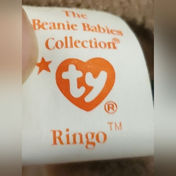 **retired** Ty Beanie Baby: Ringo the Raccoon - Picture 2 of 4